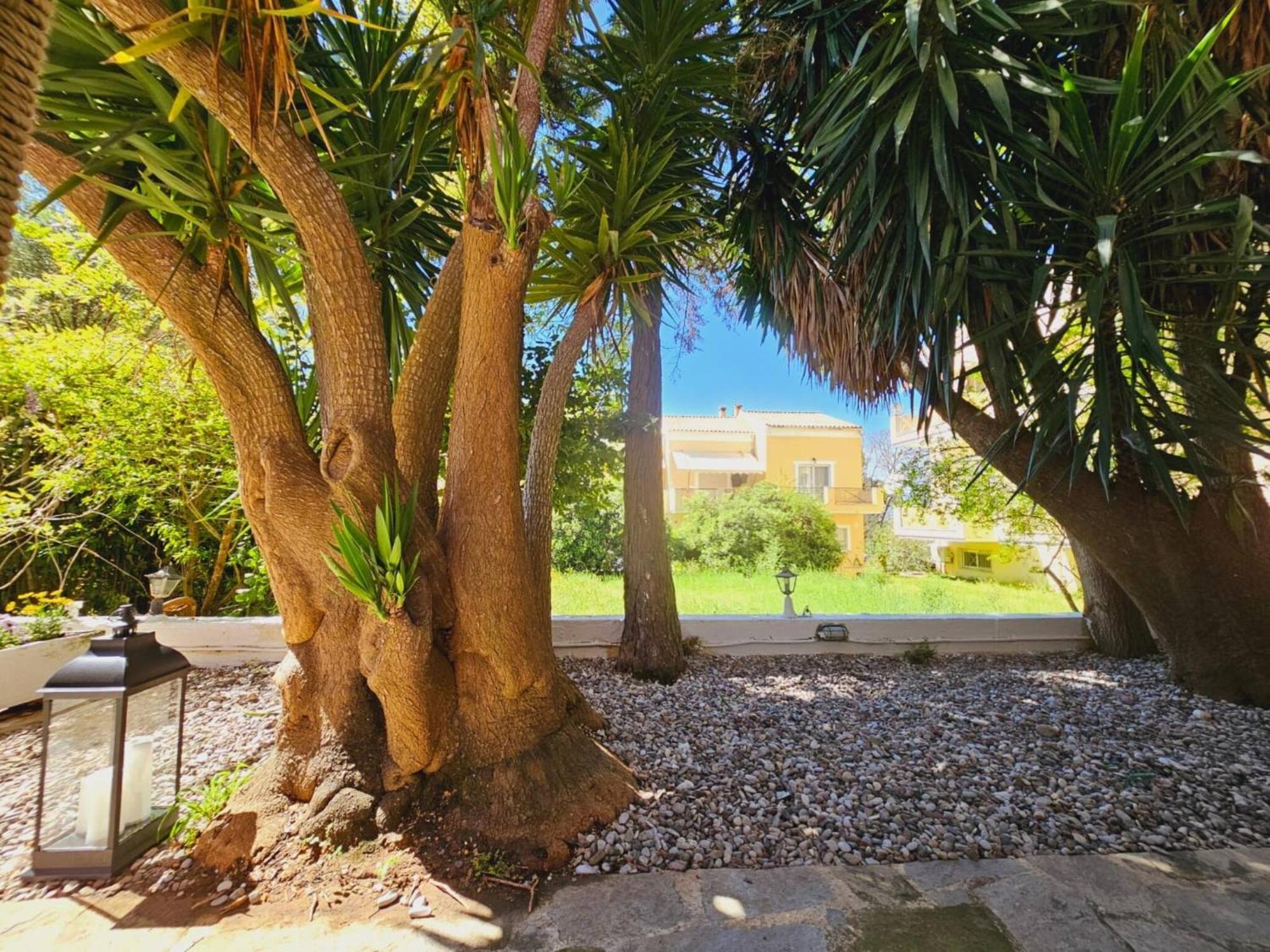 Corfu Dream Holidays Holiday home